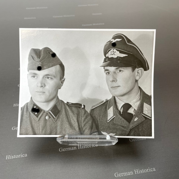 Portrait Waffen SS Luftwaffe Staffelnadel